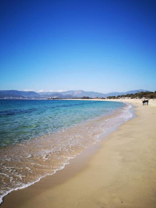 Porticcio : Magnifique T2 Piscine Vue Mer Grosseto-Prugna Экстерьер фото